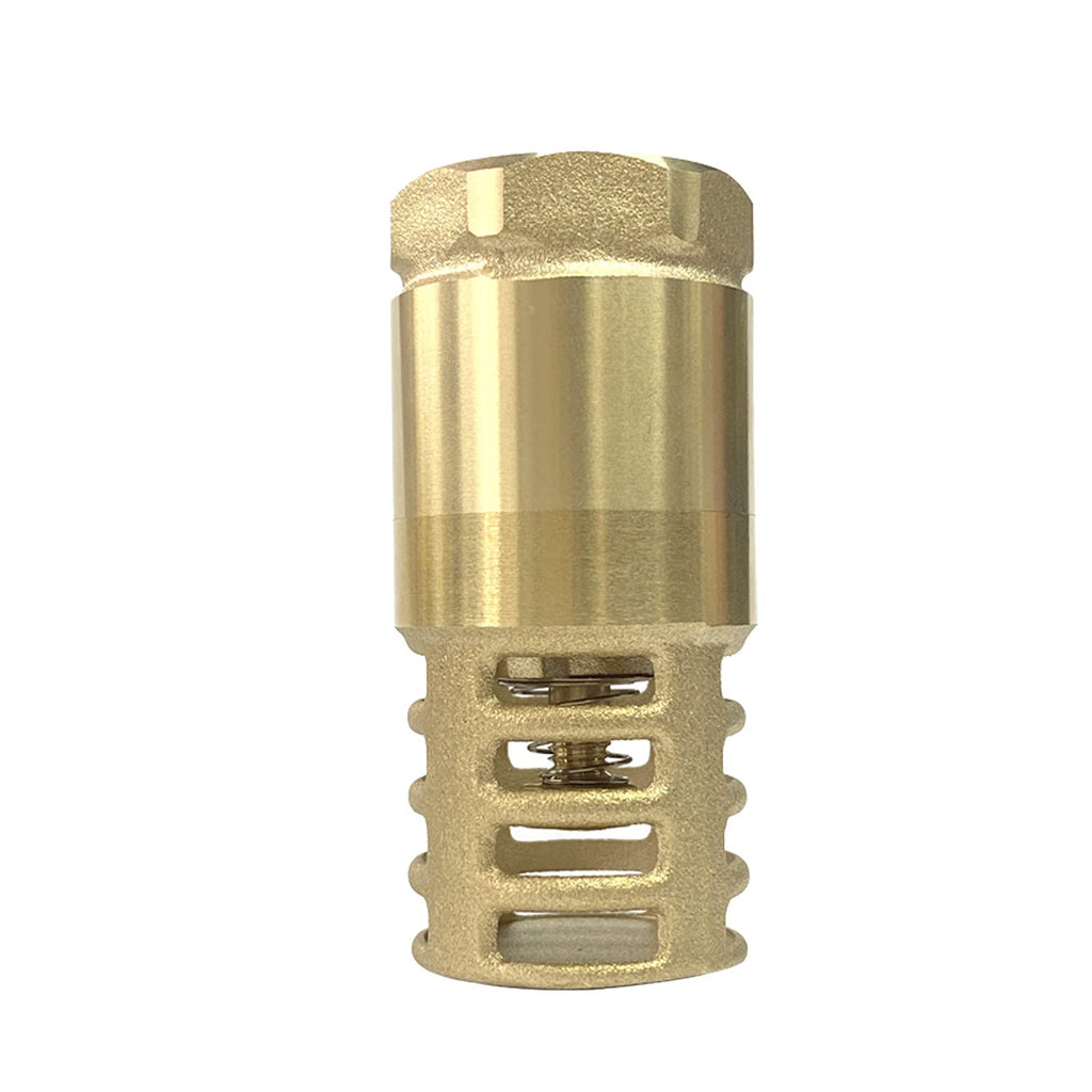 [Australia - AusPower] - Heavy Duty Brass Female Foot Valve Backflow Preventer Check Valve for Well Jet Pumps Foot Valve, Maintains Pump Prime and Strainer Filters Out Debris (2 Inch) 2 Inch 