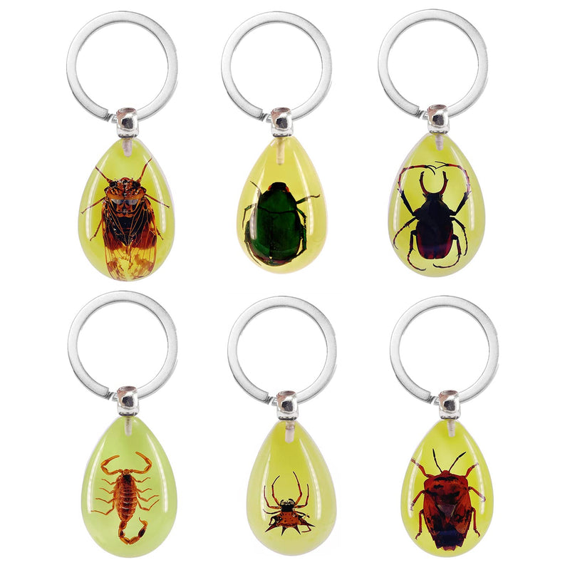 [Australia - AusPower] - QTMY 6 Pack Insect in Resin Specimen Collection Luminous Glow in The Dark Keychain Keyring ,Halloween Christmas Science Classroon Decor Kits Set Education 