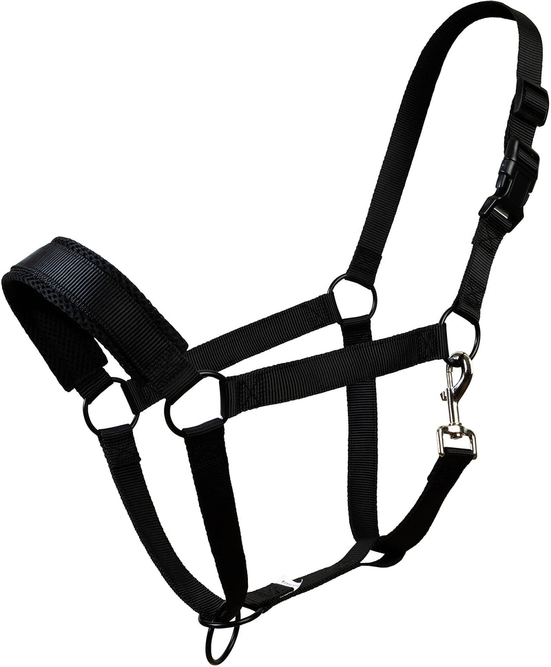 [Australia - AusPower] - yashchykov Personalized Horse Halter - Strong Nylon Halters for Horses with Adjustable Crown, Noseband and Cheek Piece - Durable and Padded Horse Halters for Cob, Full, Warmblood and Draft Horse 