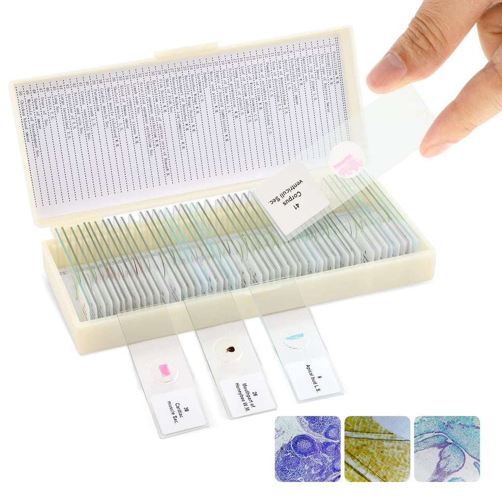 [Australia - AusPower] - 50Pcs Prepared Microscope Slides Animals Insects Plants Bacterial Sample Biological Slide Specimen for Kids Students Adults, for Science Study and Education 50pcs 
