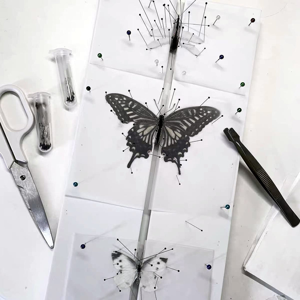 [Australia - AusPower] - Insect Pinning Board, EVA Foam Board Pose Insects Boards Butterfly Spreading Wings Board Combined Plates, Adjustable Wide Spacing Double Sided Usable Insect Specimen Tools for Bugs Collection (1 PACK) 