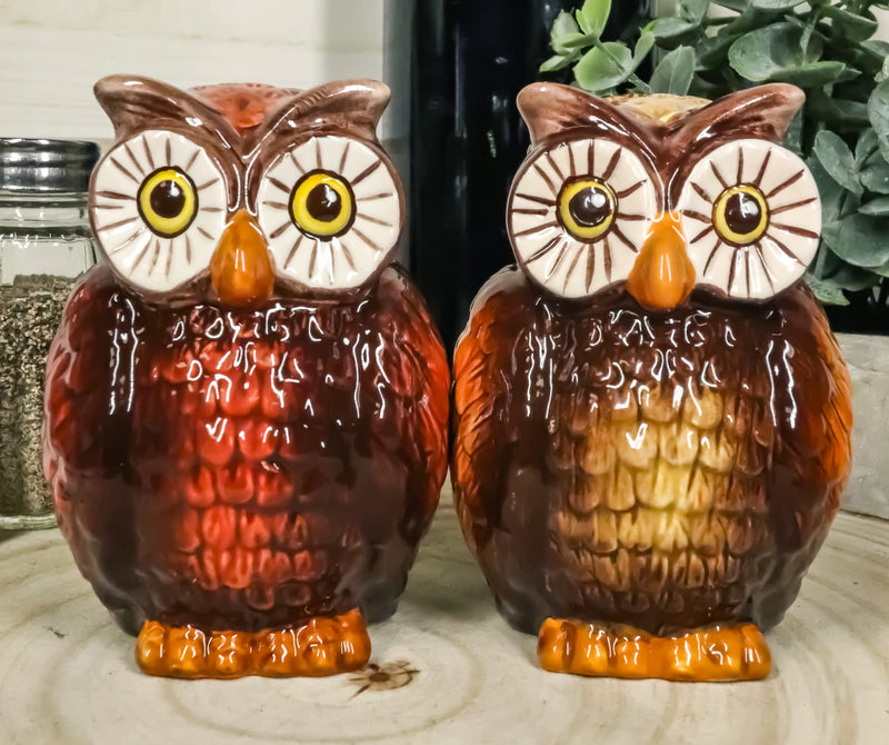 [Australia - AusPower] - Ebros Gift Wisdom Of The Woods Great Horned Brown Owls With Wide Round Eyes Ceramic Salt And Pepper Shakers Figurine Set 3.5"H Forest Nocturnal Owl Birds Home Kitchen Decor 