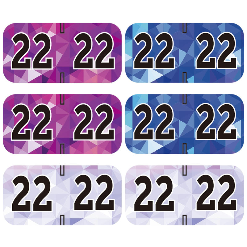 [Australia - AusPower] - 720 Pieces 2022 Year Stickers File Folder Labels Colored Year Stickers Self Adhesive Labels for Office End Tab File Folders, 0.75 x 1.5 Inch 