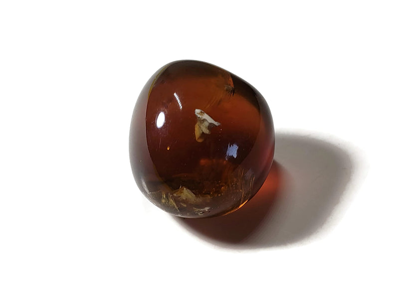 [Australia - AusPower] - 1pc Sumatran Amber 25-32mm Small Hand-Polished Tumblestone AA-Grade Dark Translucent Natural Healing Crystal Gemstone Fossil Specimen from Indonesia 