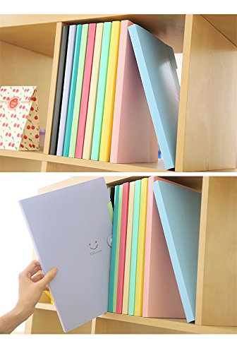 [Australia - AusPower] - Expanding File Folders Pockets Letter Size/A4 Paper Accordion Document Organizer for School Office, 4 Pack ( Purple Lake Blue Pink Black)）… 