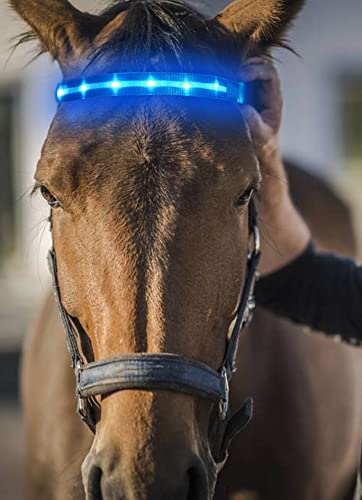 [Australia - AusPower] - LED Horse Tack Rechargeable - LED Horse Accessories - LED Horse Head Collar - Equestrian Equipment - Horse Equipment 