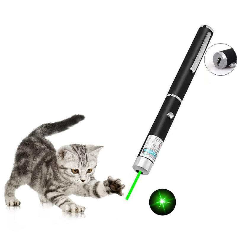 [Australia - AusPower] - Pointer for Cats Toys USB Rechargeable Pet Interactive Toys with Green Laser Pointer Remotes for Indoor Classroom Interactive Teaching (Green, USB 1 Pack) 