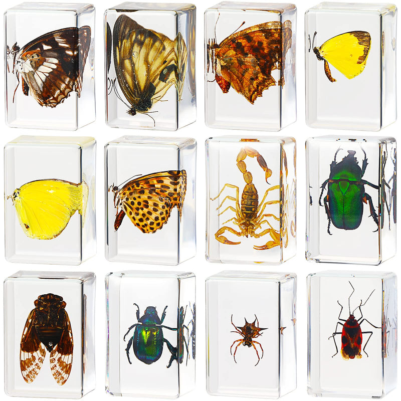 [Australia - AusPower] - 12 Pcs Insect in Resin Specimen Bugs Collection Paperweights Arachnid Resin Specimen Different Insect Specimen Bug Preserved in Resin for Kids Scientific Educational Toy, 12 Styles (Butterfly) Butterfly 