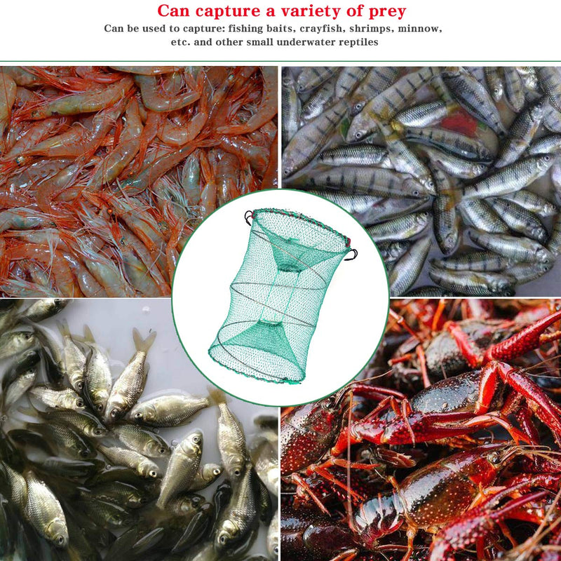 [Australia - AusPower] - Drasry Fishing Bait Trap for Crawfish Shrimp Net Portable Accessories 11.8in x 5.9in (30cm x 40cm) 0.28 Inch Mesh Collapsible Fish Trap 