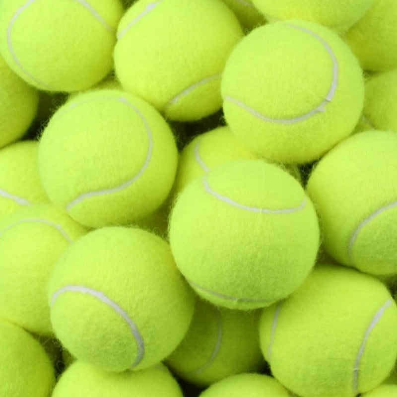 [Australia - AusPower] - Swity Home 12 Pack Tennis Balls, Training Balls for Lessons, Practice, Playing with Pets 