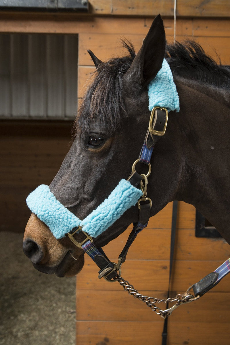 [Australia - AusPower] - Intrepid International Halter Fleece Set Navy 