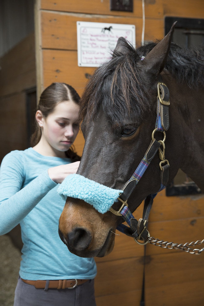 [Australia - AusPower] - Intrepid International Halter Fleece Set Navy 