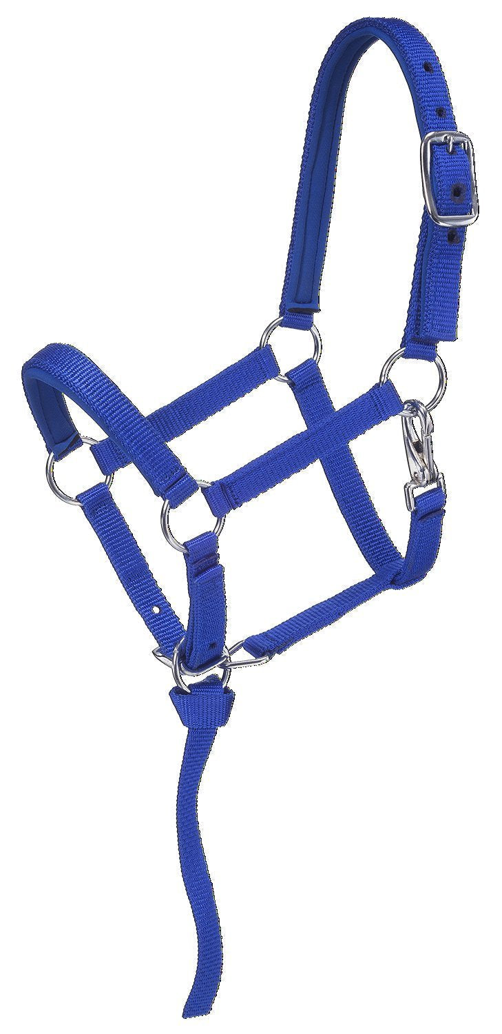 [Australia - AusPower] - Tough 1 Nylon Padded Miniature Halter Blue/Royal Small 