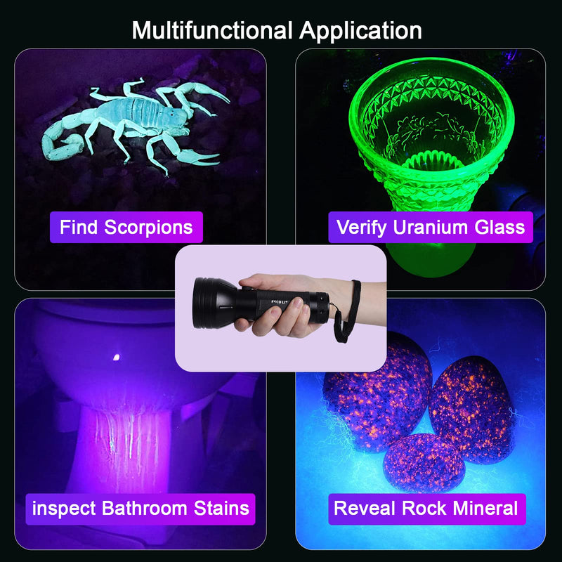 [Australia - AusPower] - Escolite UV Flashlight Black Light, 51 LED 395 nM Ultraviolet Blacklight Detector for Dog Urine, Pet Stains and Bed Bug 1 Count (Pack of 1) 