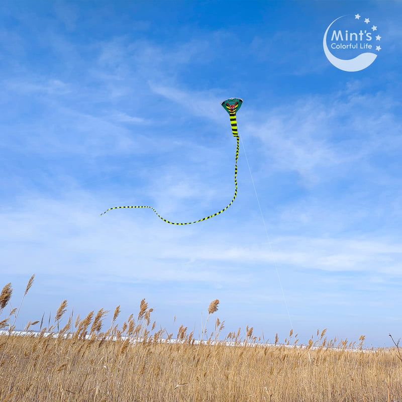 [Australia - AusPower] - Large Cobra Kite for Adults Kids Boys with Super Long Tail (49 ft), Extra Easy to fly, Best Huge Kites for the Beach/Kite Party/Field/Park, It Will Dominate the Sky! 