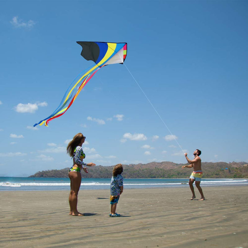 [Australia - AusPower] - Mint's Colorful Life Delta Kite for Kids & Adults, Extremely Easy to Fly Kite (Flying Rainbow) 