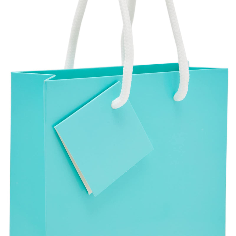 [Australia - AusPower] - Small Teal Party Favor Gift Bags with Handles, Tissue Paper (5.5 x 7.9 In, 20 Pack) 
