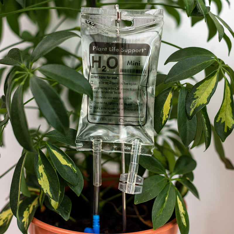 [Australia - AusPower] - Bubblegum Stuff - Mini Plant Life Support Drip Irrigation Device for House Plants | Automatic Watering System | 3.5 Fluid Ounces - Plant Waterer for Indoor Plants 