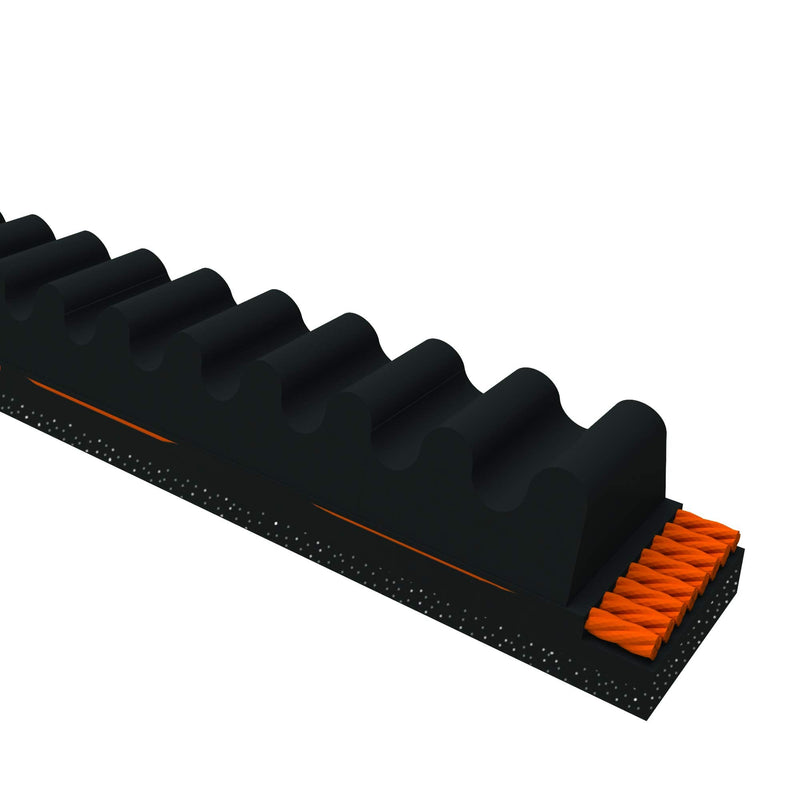 [Australia - AusPower] - D&D PowerDrive 56992PH1004 Honda Motors Replacement Belt, Rubber 