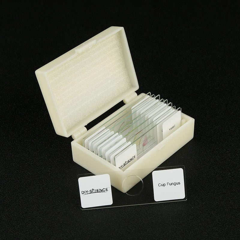 [Australia - AusPower] - Prepared Bacteria and Fungi Microscope Slide Set, 9pcs Slides for Students Micro Organisms Science Education Bacteria & Fungi 