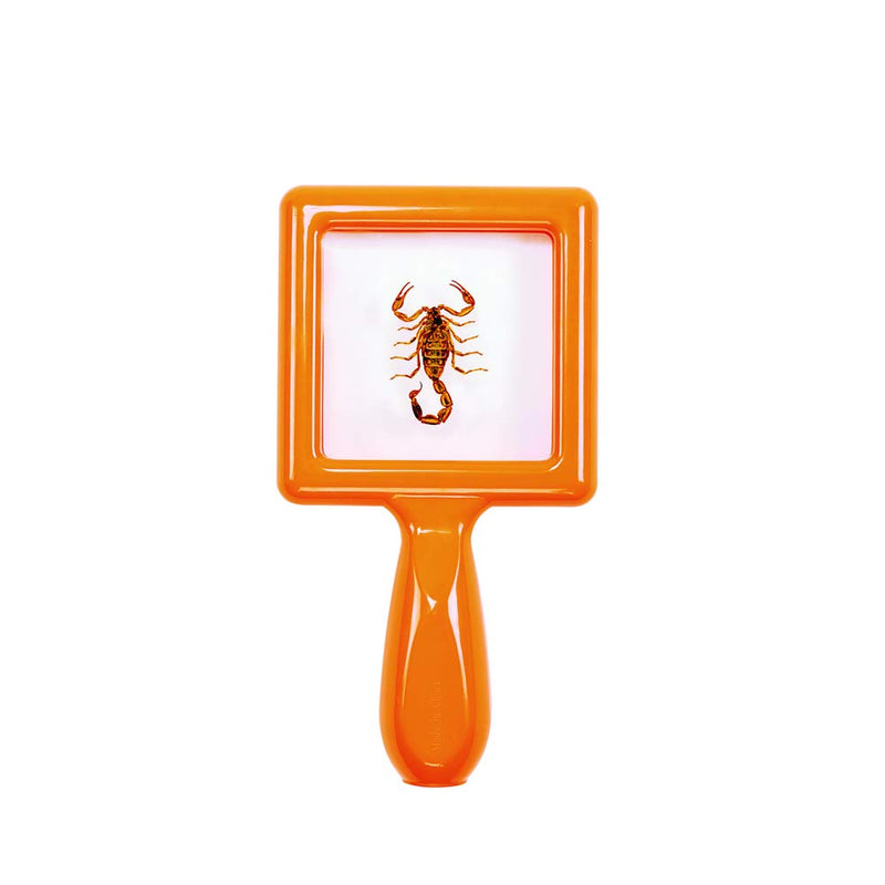[Australia - AusPower] - Environments Toddler Specimen Viewers Set of 4 (Item # SPECISEE) 