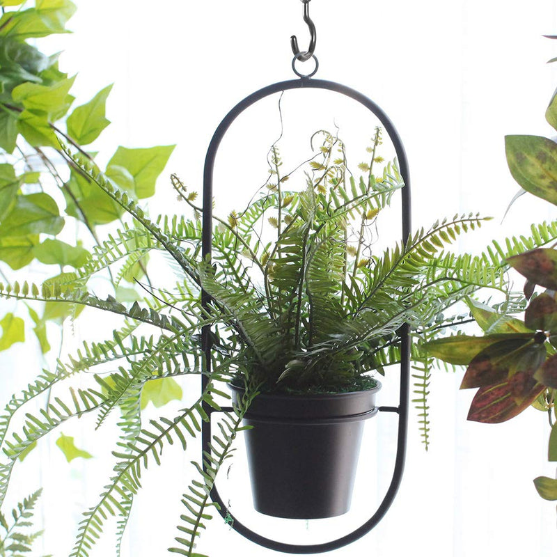 [Australia - AusPower] - 2 Inch Ceiling Hooks, Screw-in Cup Hooks, Vinyl Coated Screw Hooks for Hanging Plants Lights Mugs Heavy Duty Indoor Outdoor Use, Screw in Metal Wall Hooks Kitchen Hanger, Black (12 Pack) 