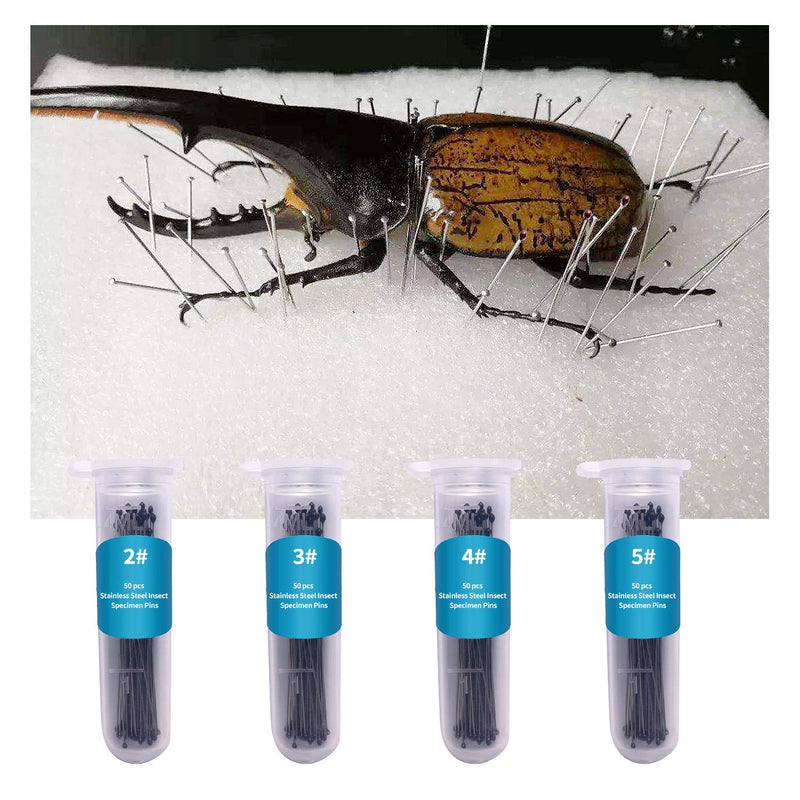 Fpxnb 350-piece stainless steel insect pins set with 7 sizes, vials and labels for entomology, butterfly collection, and specimen display.