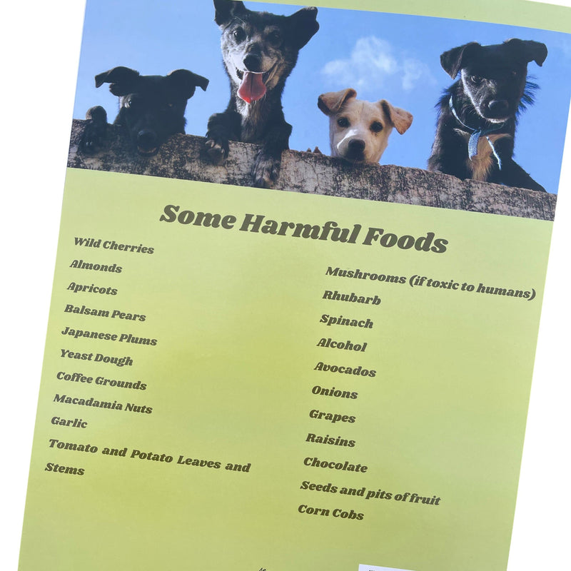 [Australia - AusPower] - Puppy Information Folders (10 Pack) - New Puppy Folder Set for Dog Breeders, Veterinarians, and Shelters 