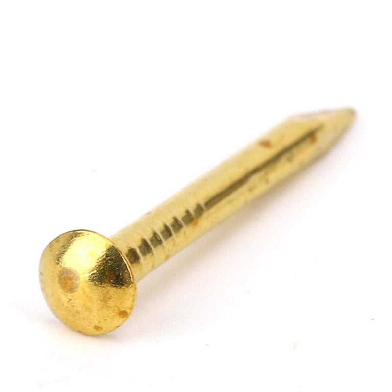 [Australia - AusPower] - HEEPDD 100Pcs Brass Escutcheon Tacks, Round Head Brass Brad Nail Hardware Nail Assortment Kit Furniture Hinge Hardware Accessories 10mm/15mm/18mm/22mm(10mm Length) 10mm Length 