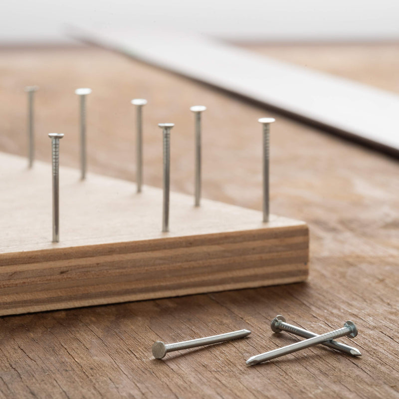 [Australia - AusPower] - Qualihome Hardware Nail Assortment Kit, Includes Finish, Wire, Common, Brad and Picture Hanging Nails Zinc 