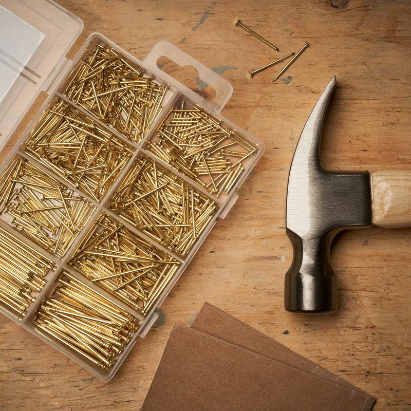 [Australia - AusPower] - Qualihome Hardware Nail Assortment Kit, Includes Finish, Wire, Common, Brad and Picture Hanging Nails (Brass Plated) Brass Plated 