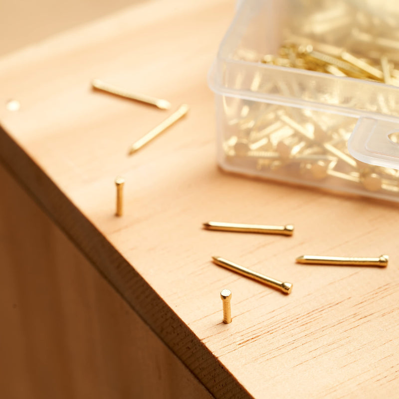 [Australia - AusPower] - Qualihome Hardware Nail Assortment Kit, Includes Finish, Wire, Common, Brad and Picture Hanging Nails (Brass Plated) Brass Plated 