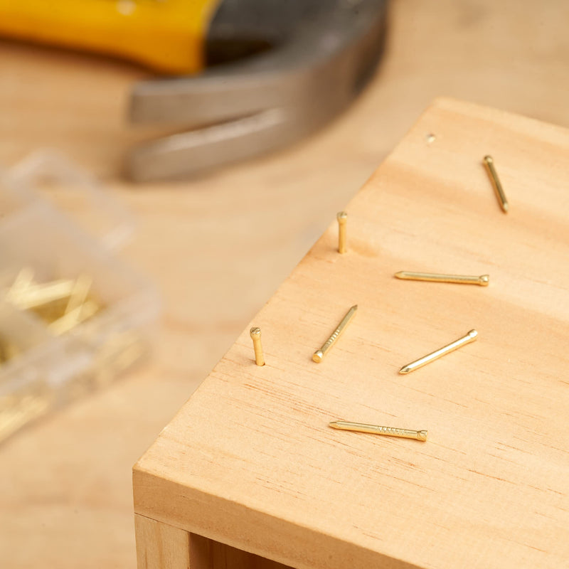 [Australia - AusPower] - Qualihome Hardware Nail Assortment Kit, Includes Finish, Wire, Common, Brad and Picture Hanging Nails (Brass Plated) Brass Plated 