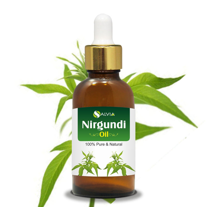 [Australia - AusPower] - Nirgundi Oil (Vitex negundo) Therapeutic Essential Oil 100% Natural & Pure Undiluted Uncut Cold Pressed Aromatherapy Premium Oil Therapeutic Grade - 30 ML with Dropper 