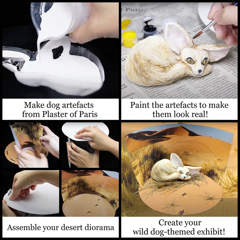 [Australia - AusPower] - WILD ENVIRONMENTAL SCIENCE Extreme Wild Dogs of The World - for Ages 6+ - Create and Customize Models and Dioramas - Study The Most Extreme Animals 